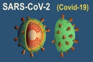https://swprs.org/coronavirus-variants-what-next/