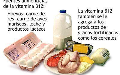 La ingesta de carne evita grave carencia de Vitamina B12
