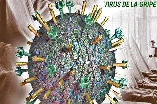 ¿Qué pasó con la gripe?
