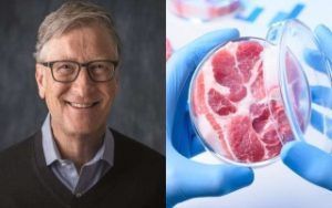 Carne Sintética: Ni tan sana ni tan ecológica ni tan siquiera equiparable