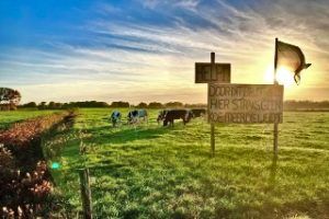 La ecotecnocracia gobernante contra los Agro-Ganaderos