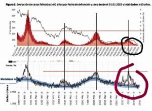 España: Exceso de muertes con Vacunas Covid