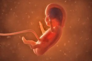 El aborto es un instrumento eugenésico