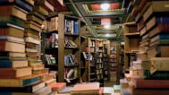 El Señor de los Libros | Teatro para niños